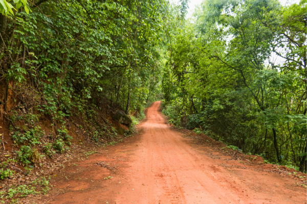 Serra Geral de Goiás: Pirenópolis a Corumbá por estradas de terra