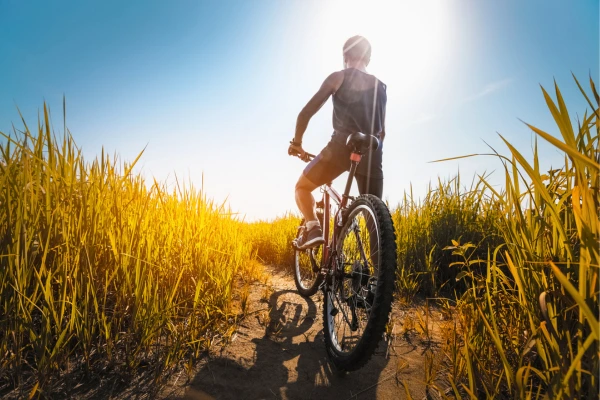Estratégias de pedal diário no clima variável do Sudeste